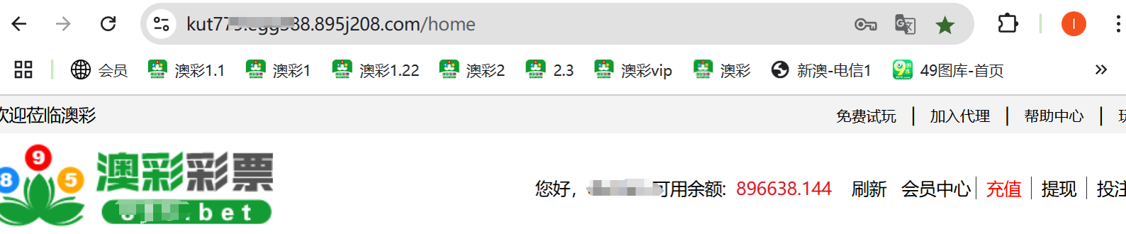 平台账户余额截图 896638 USDT